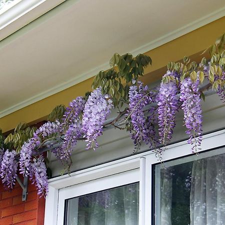 Brecon Pond Bed & Breakfast Stratford Exterior foto