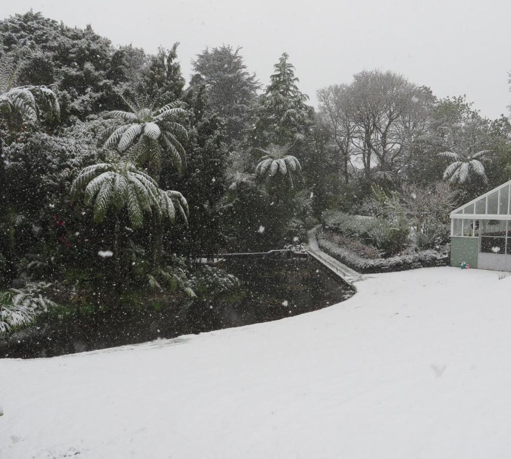 Brecon Pond Bed & Breakfast Stratford Exterior foto